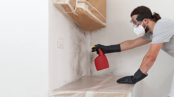 Professional Basement Mold Remediation technician working in Garysburg, NC